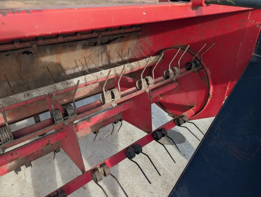 Kela Sato kelapöyhin 280cm / Karhottimilla - Katso video!